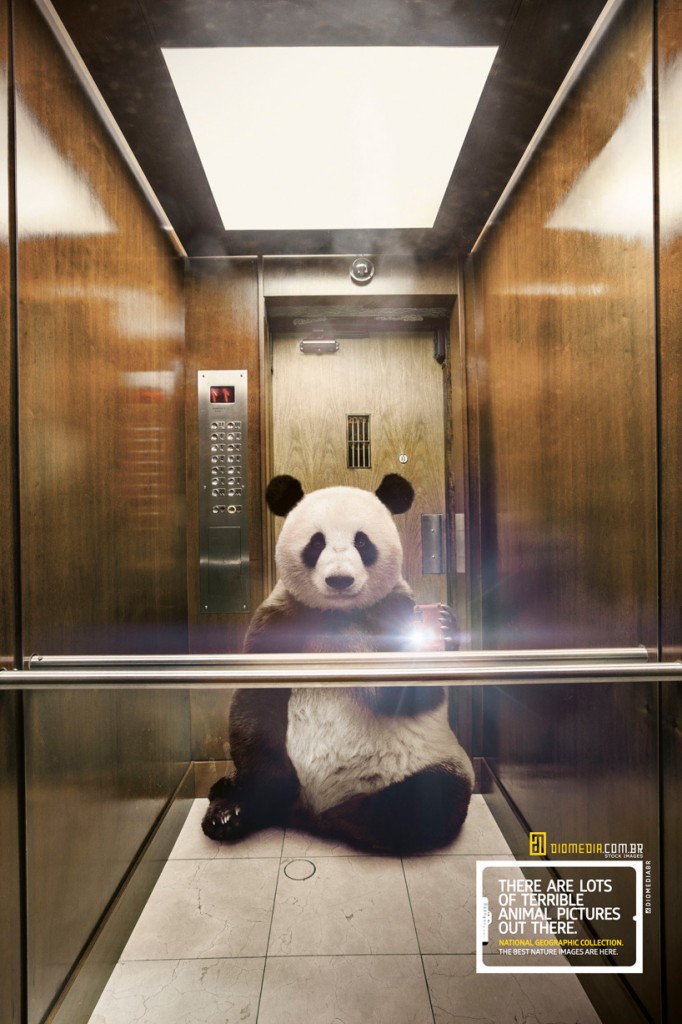 selfie animali National Geographic 