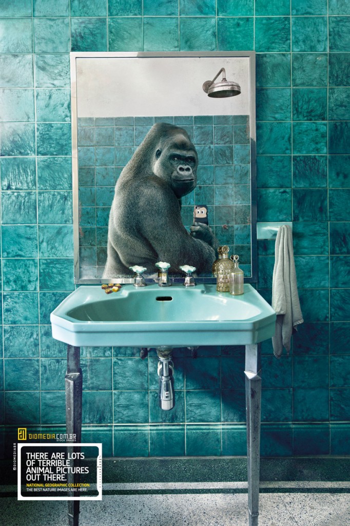 selfie animali National Geographic 