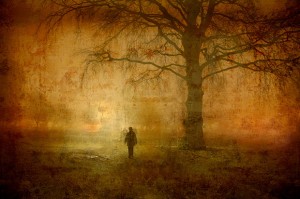 Il viale del tramonto della fotografia di reportage