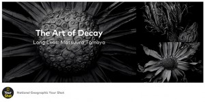 Visual_Storytelling