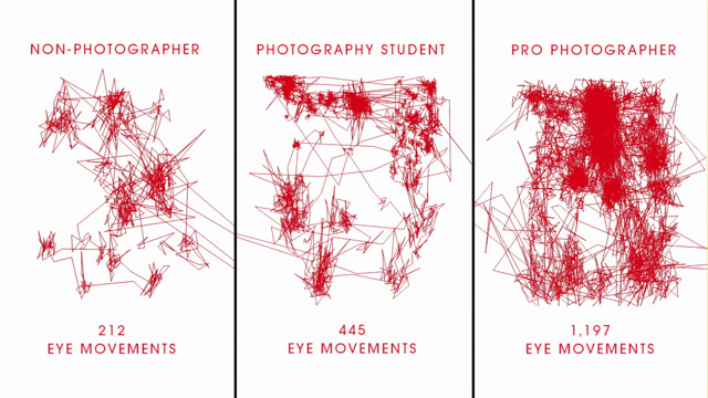 L’occhio del fotografo professionista: troppo sopravvalutato