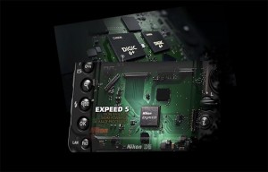 Nikon D5_Canon 1DX Mark II
