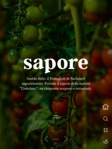 APP Consorzio IGP Pomodoro Pachino