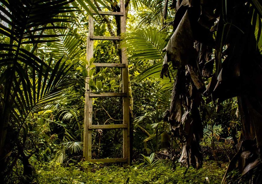 La fotografia non è un giardino, ancor meno passato