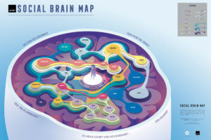 HP_Social_Brain_Map