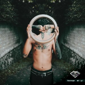 Bitmonds - Sauvage