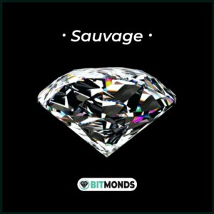 Bitmonds - Sauvage