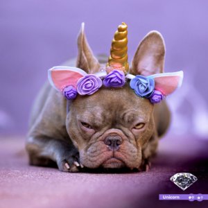 Bitmonds - Unicorn